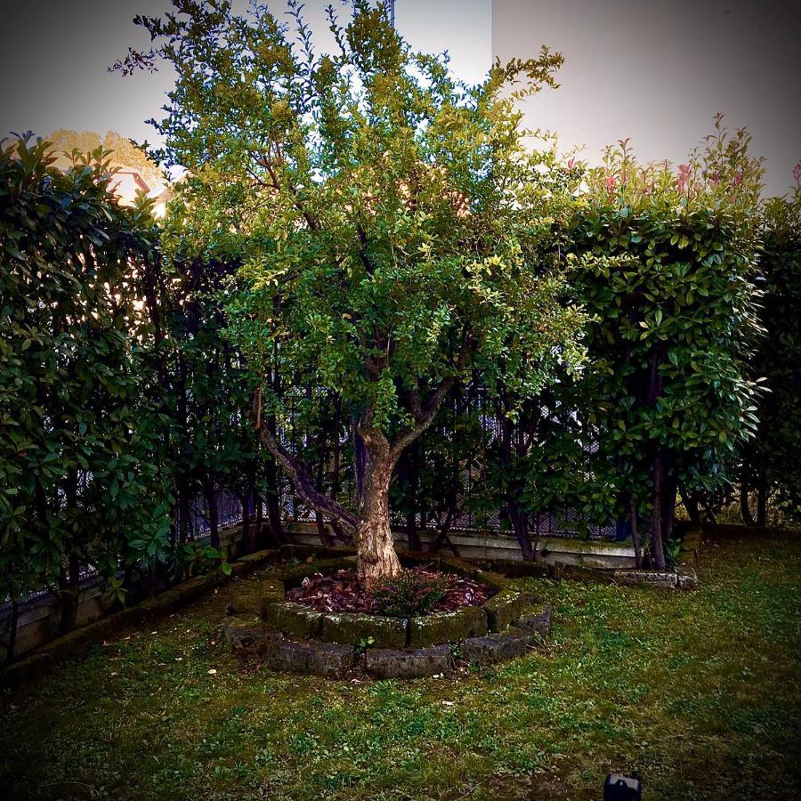 Residenza Il Fiore Bergamo Luaran gambar